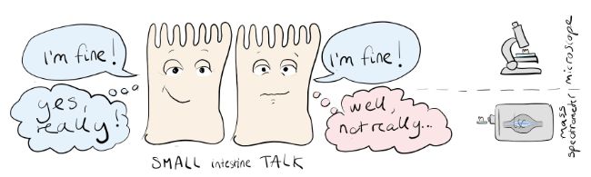 cartoon of healthy intestine vs low level inflammatory intestine